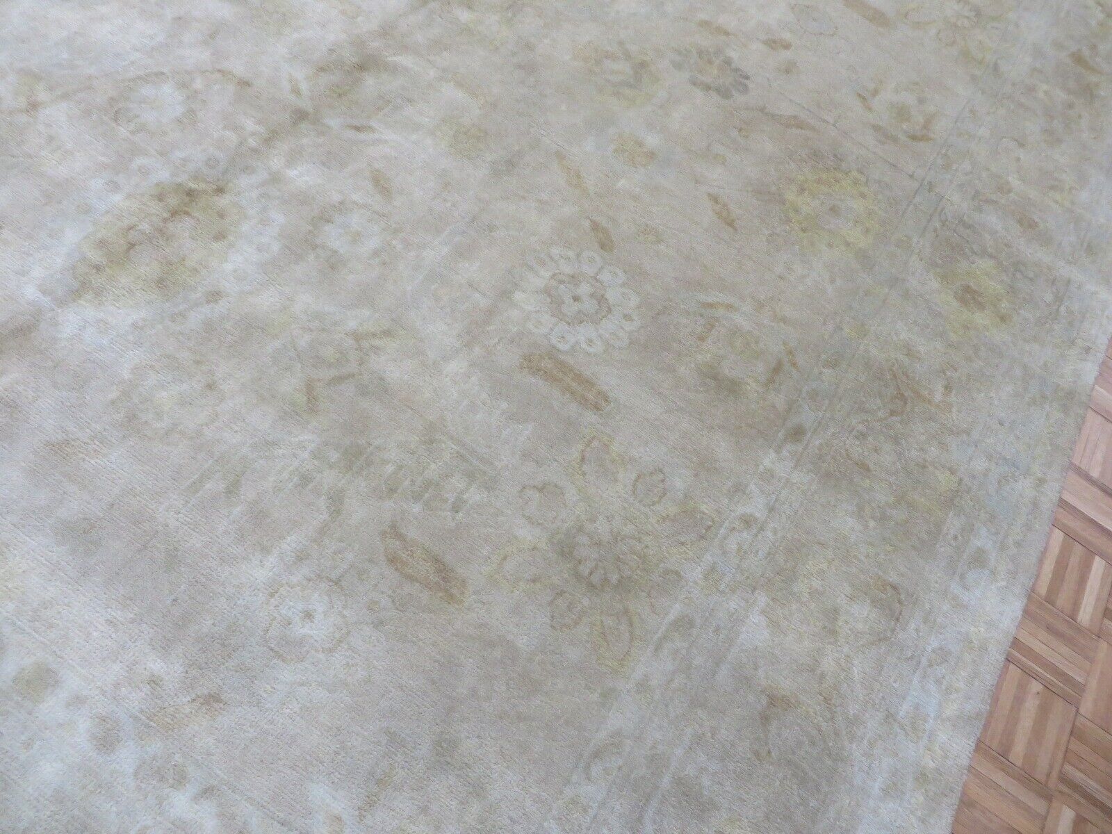 G1245C