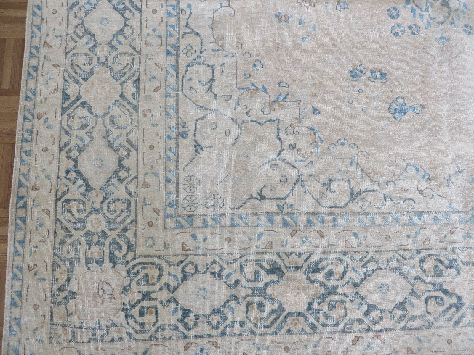 G16569C