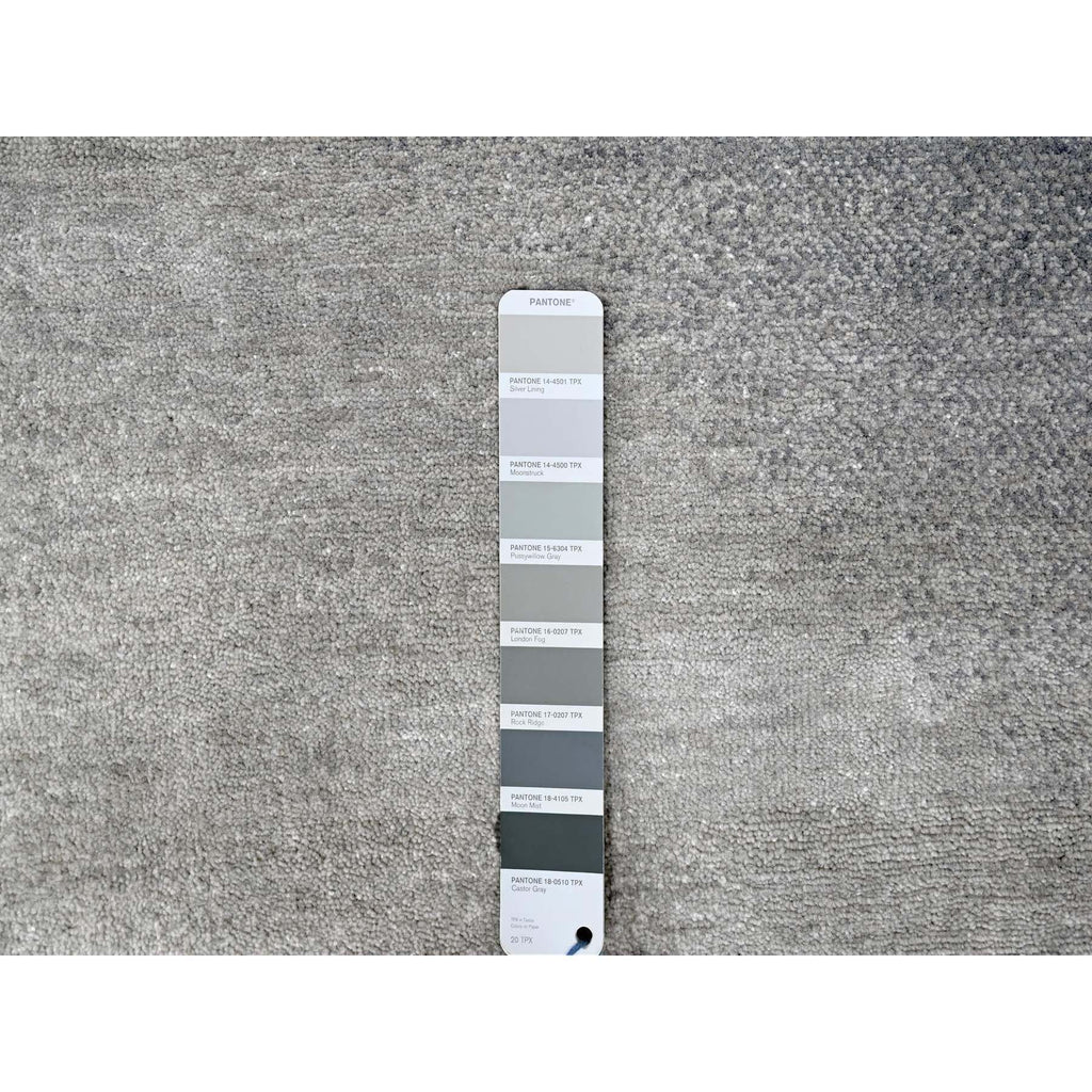 R10057%20008
