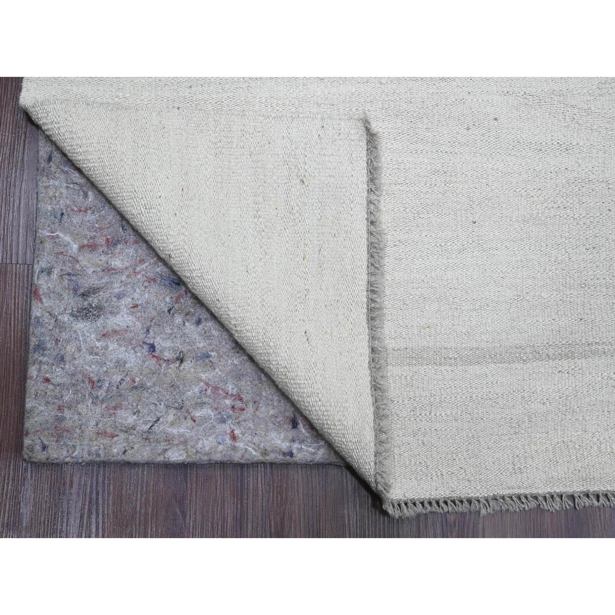 R20099%20005