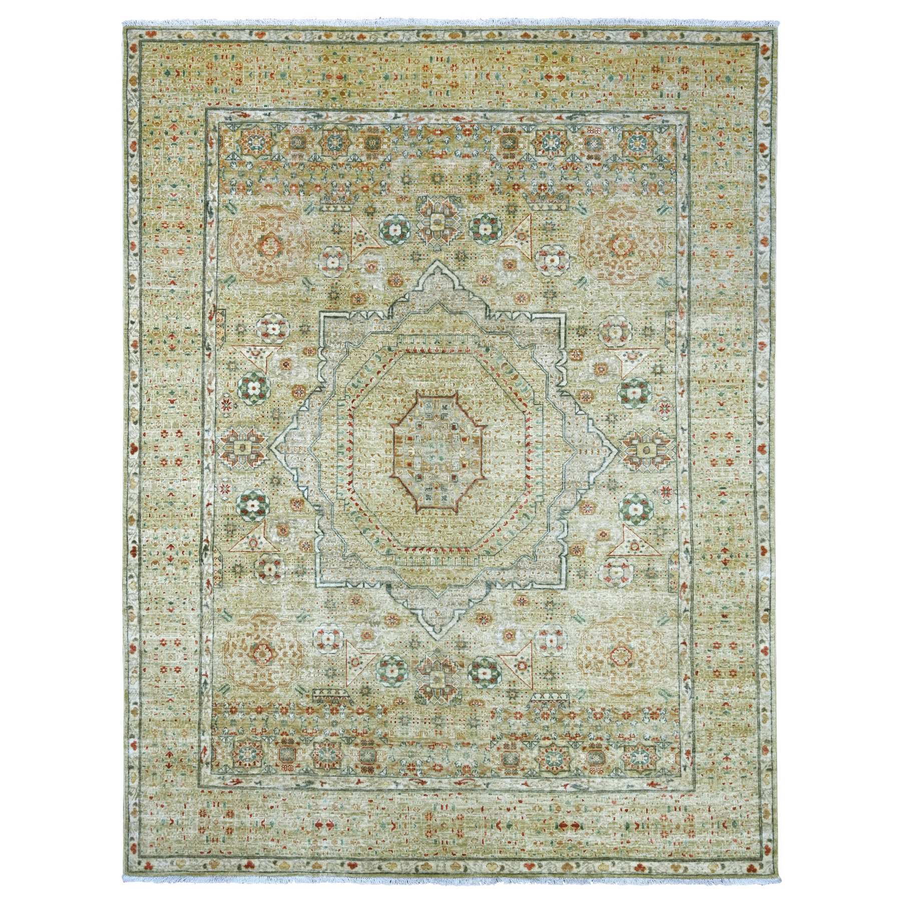 R22225%20001