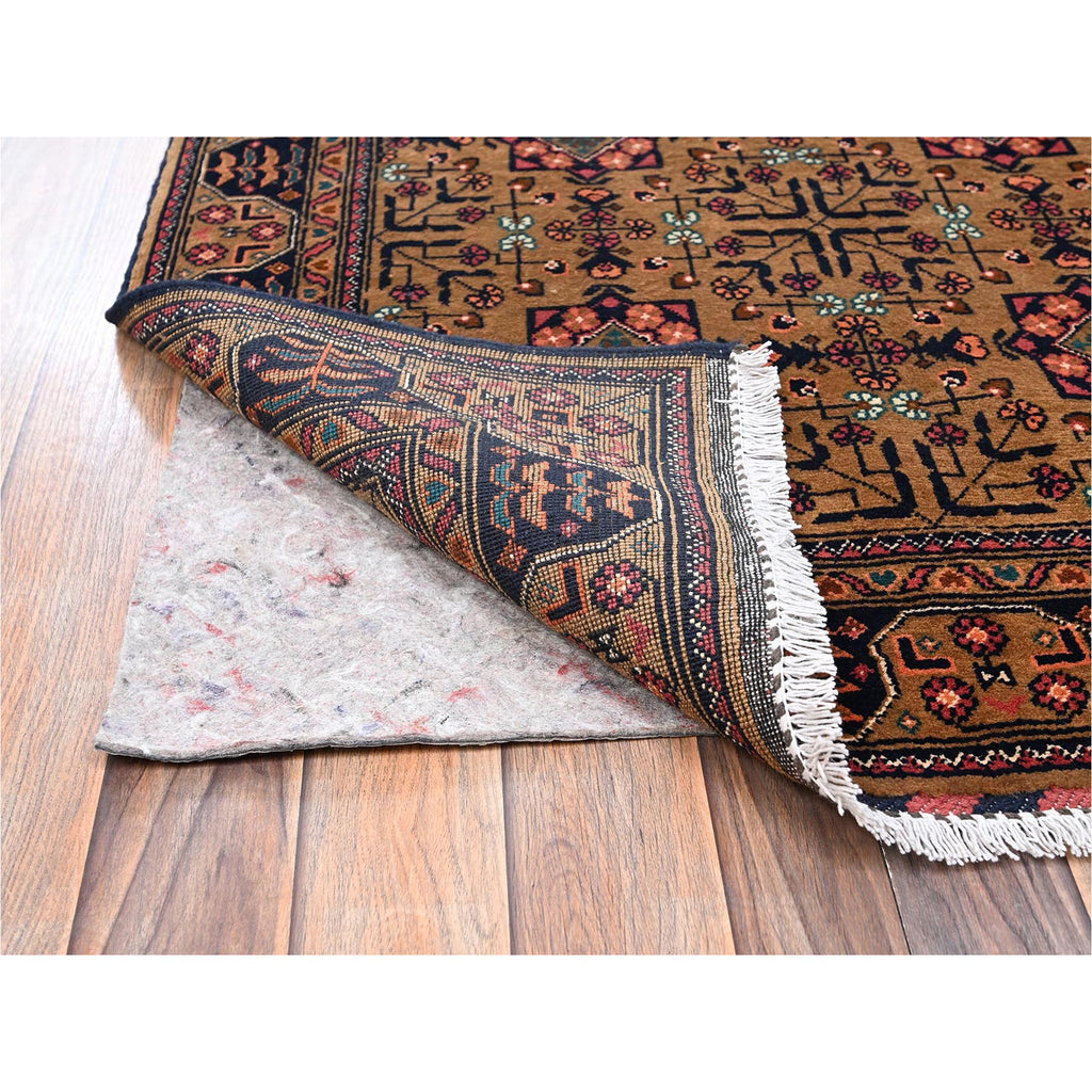 R2454%20003