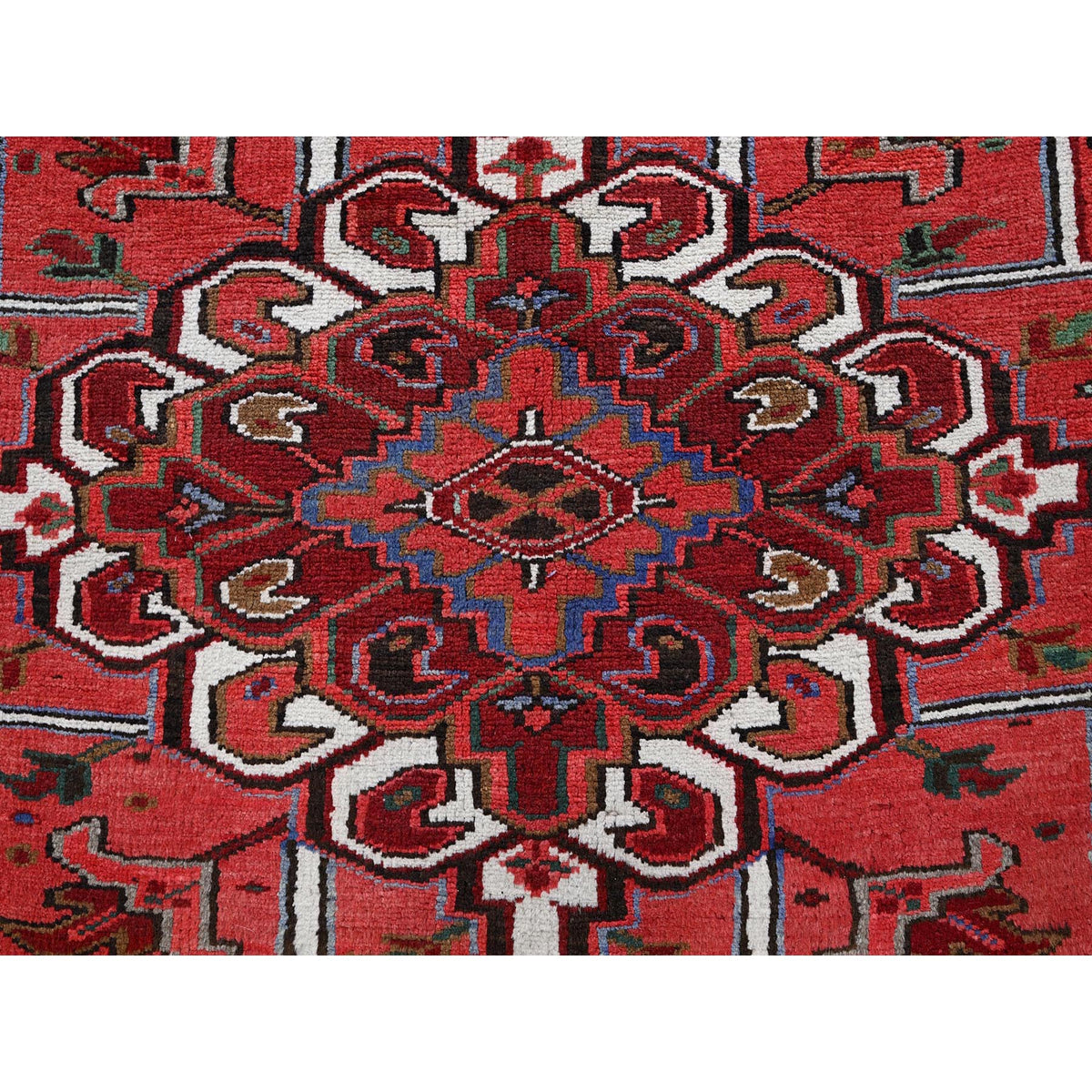 R282%20009