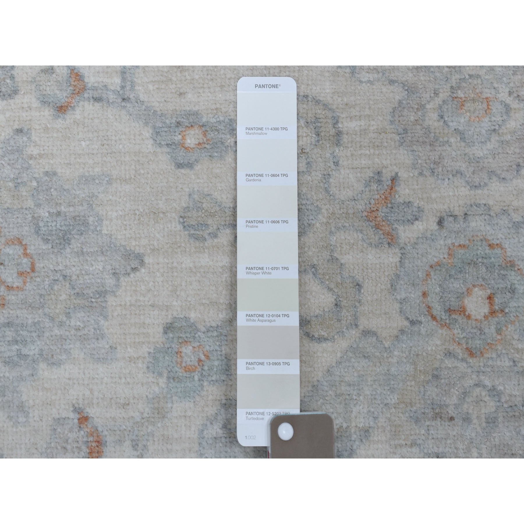 R54953%20008
