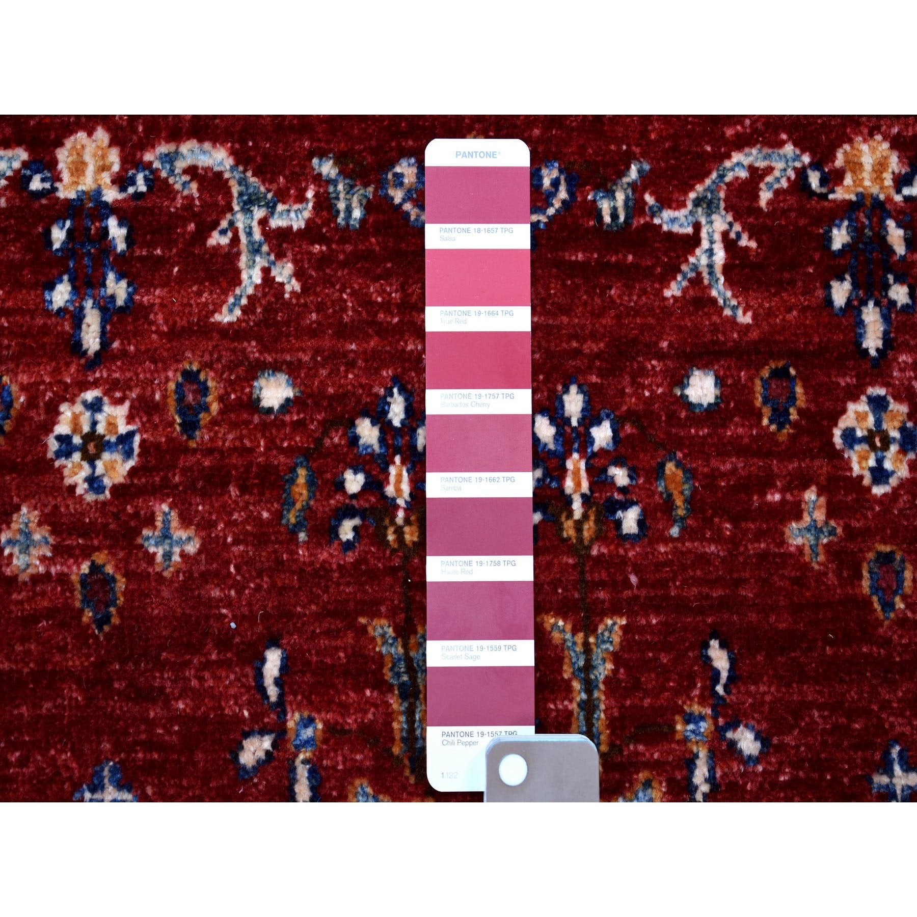 R54958%20008