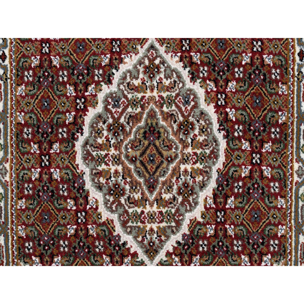 R62537%20005