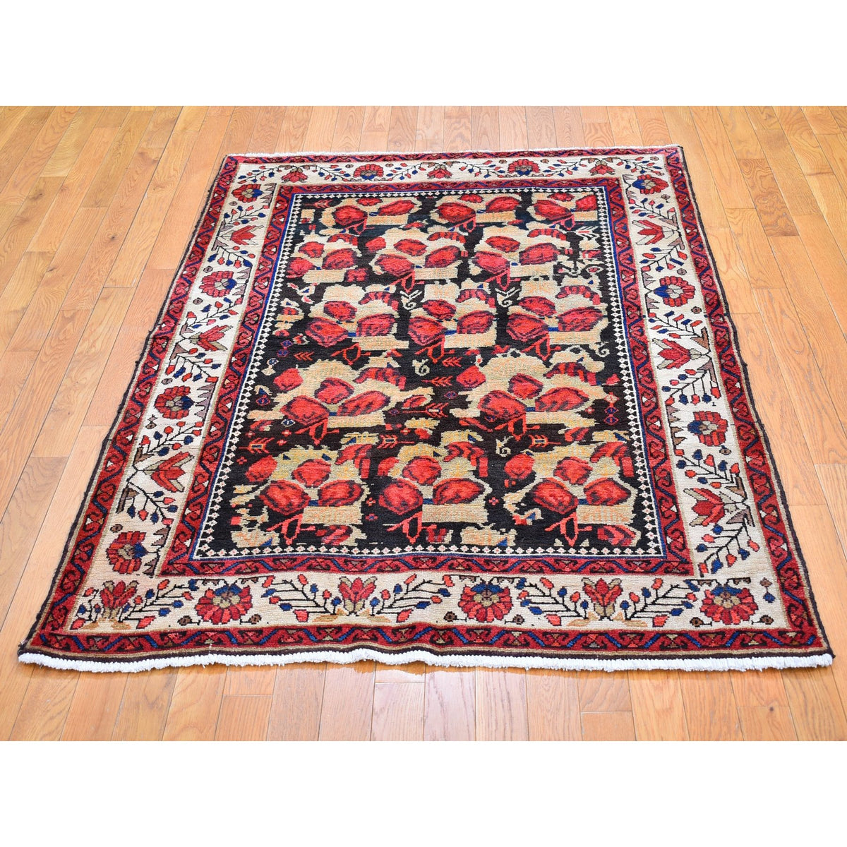 R66328%20003