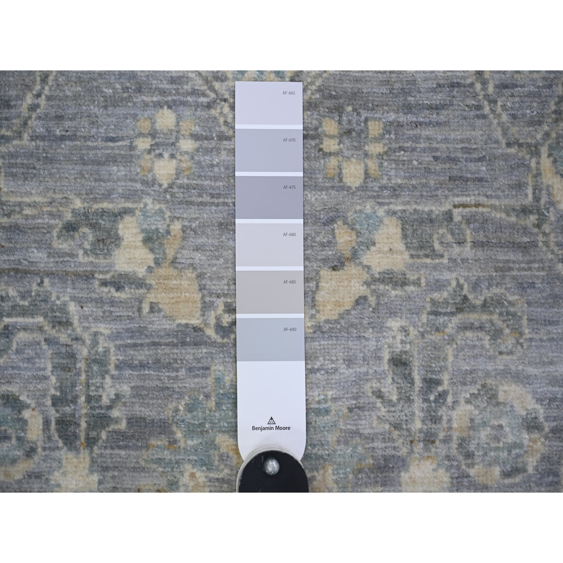 R73955%20003