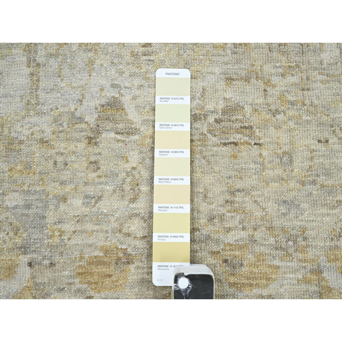 R76168%20008