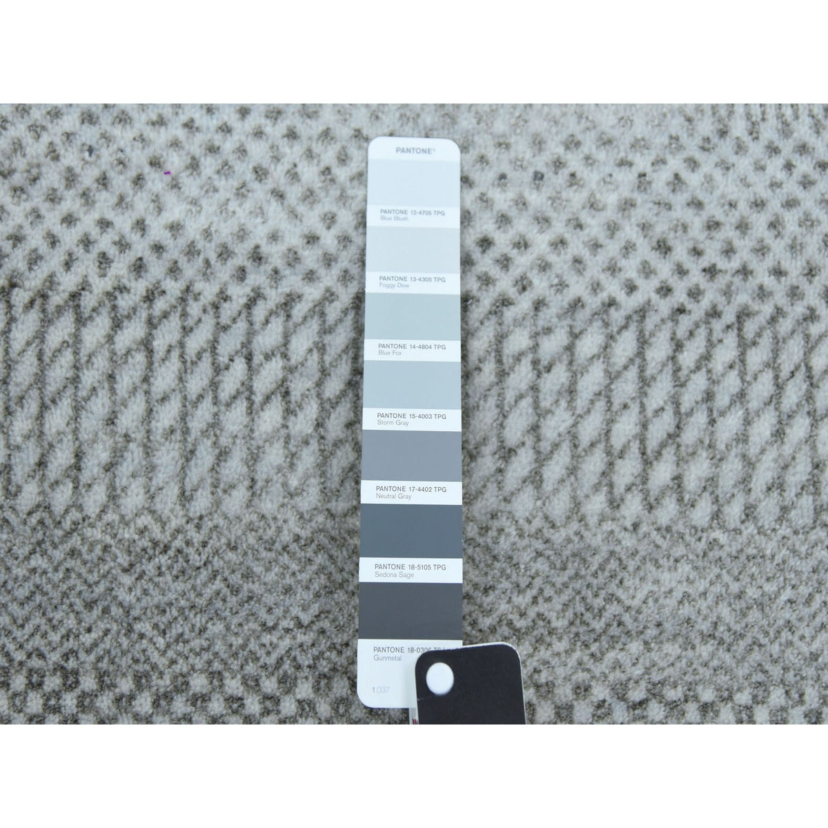 R79137%20005