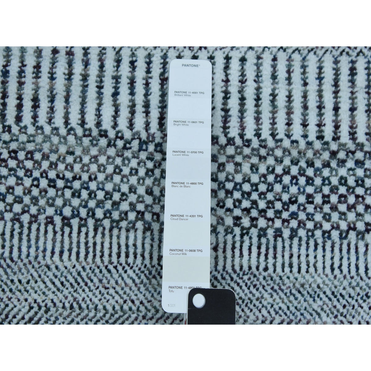 R79246%20005