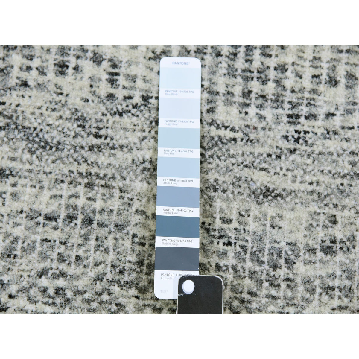R79519%20005