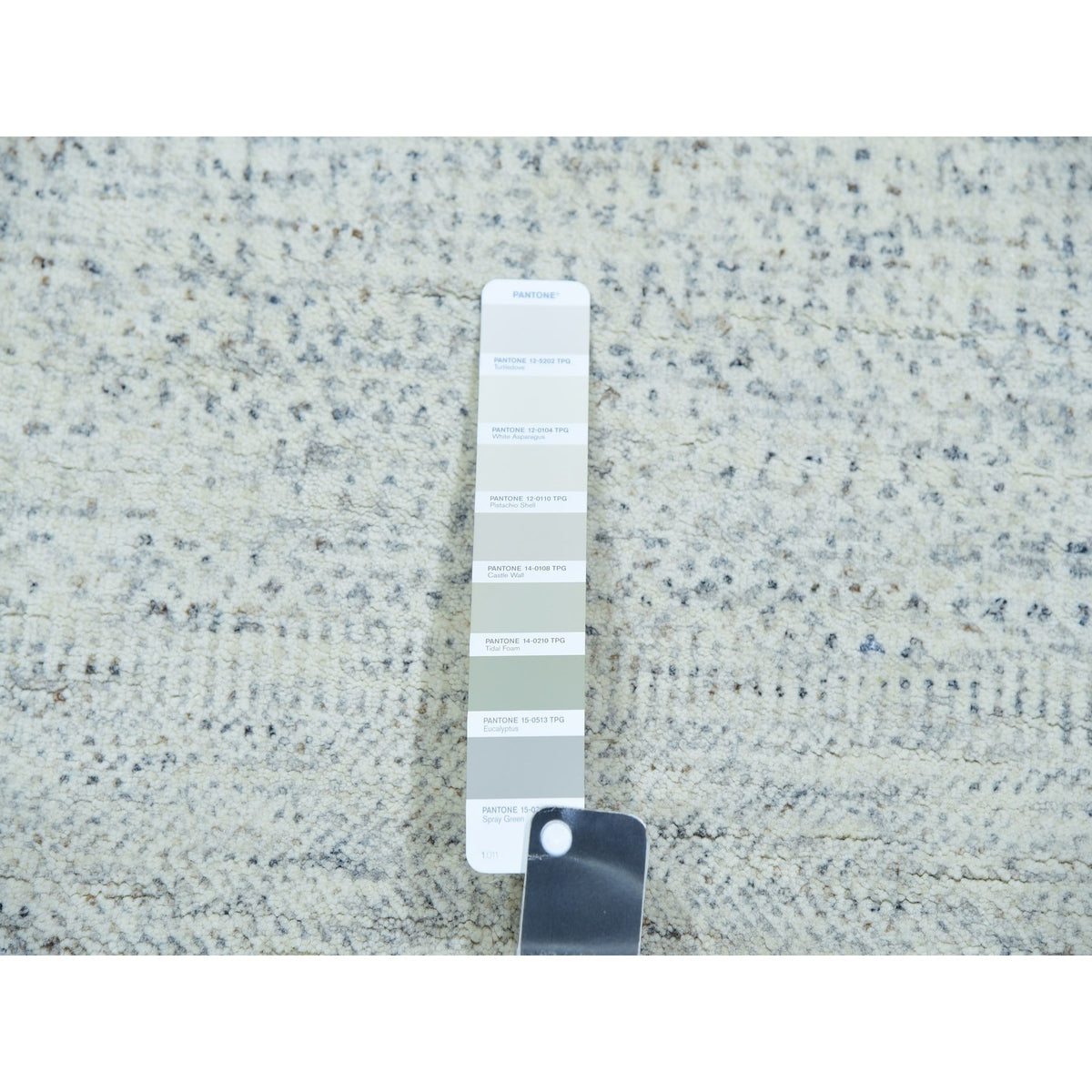 R79819%20005