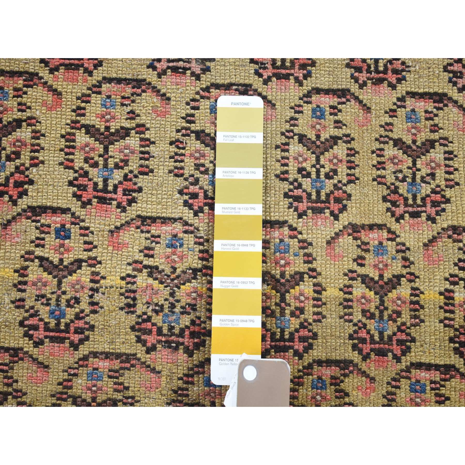 R80058%20005