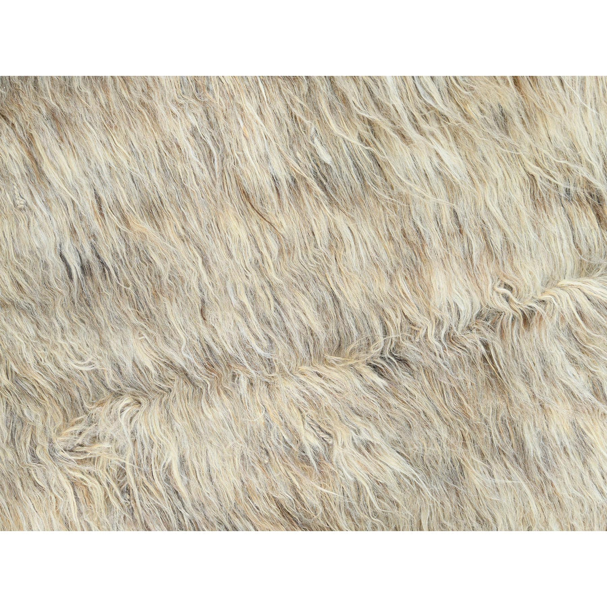 R82563%20009
