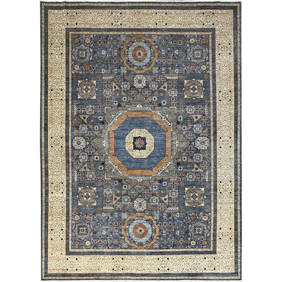 R86737%20001