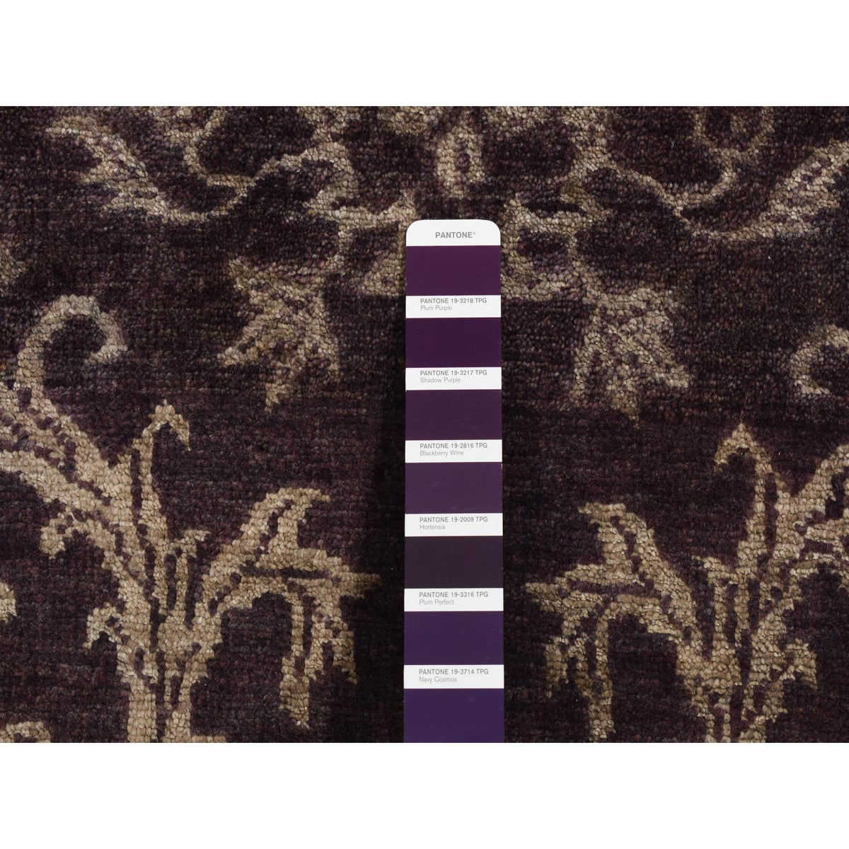R87251%20004