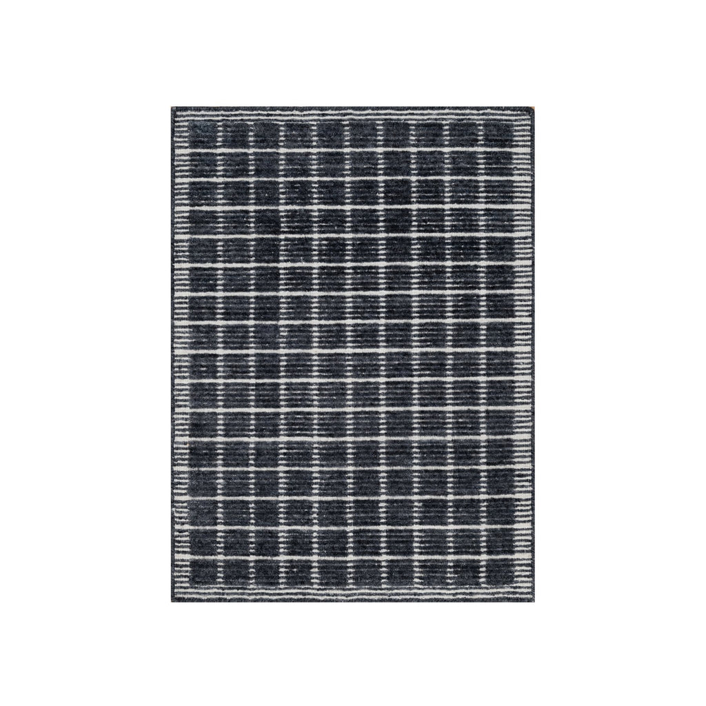 R91065%20001