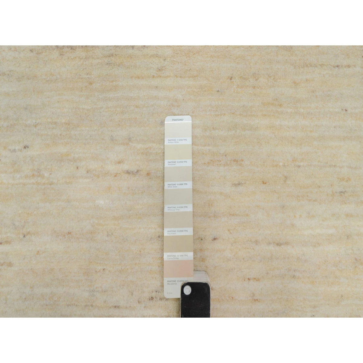 R91301%20004